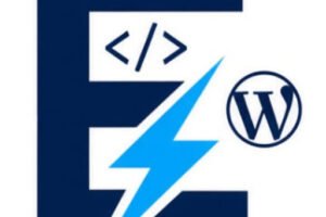 eHelper WP Store